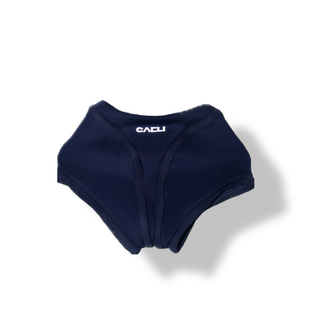 V 2 pants